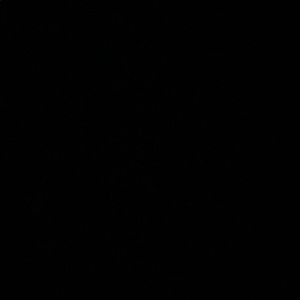 Meet your Posher, Jasper